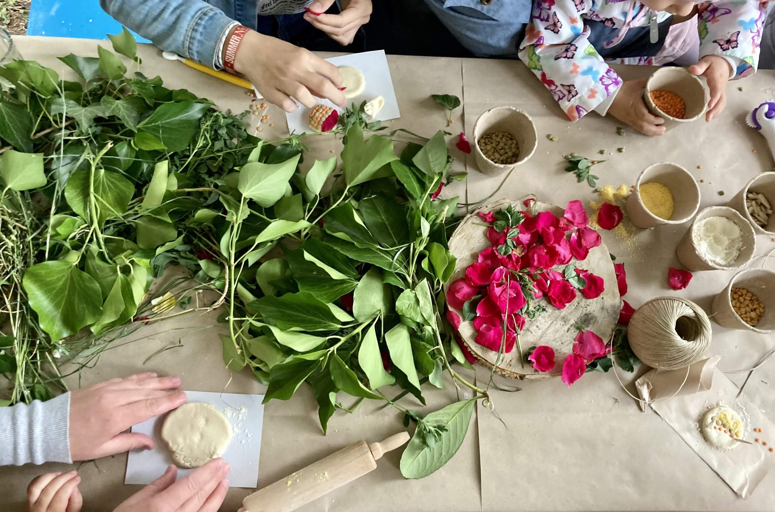 Növényes kép készítő workshop