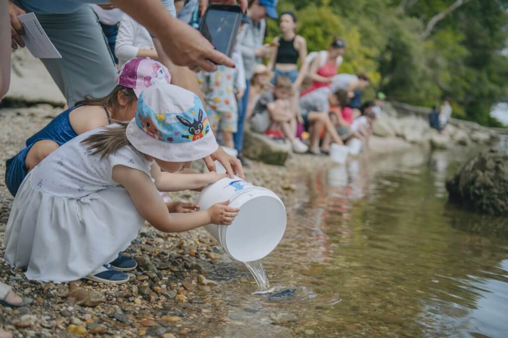 Generali Gyerek Sziget 2025 05 Duna-nap természetvédelem gyerekprogram
