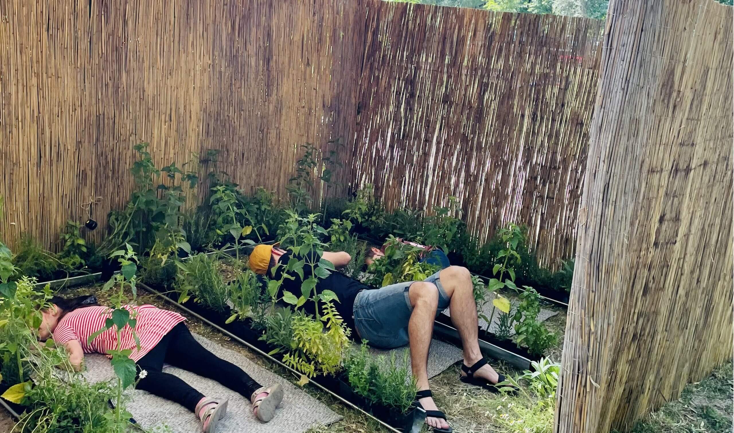 Természetközeli Relax Kabin