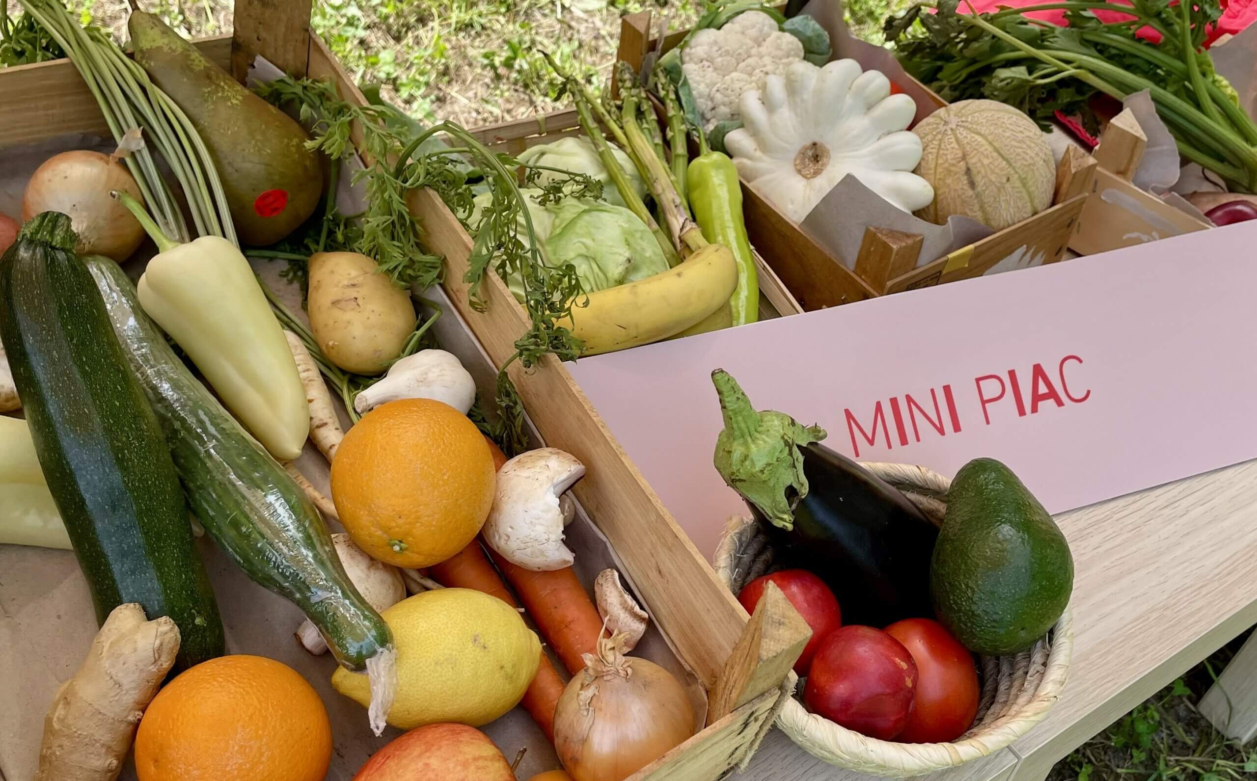Minipiac